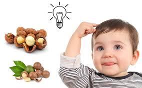 hạt macca giá bao nhiêuhạt macca giá bao nhiêu