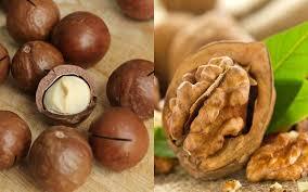 so sánh hạt macca giá bao nhiêu với hạt khác